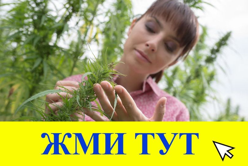 Купить наркотики в Кубинке